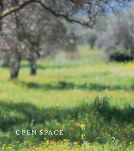 9780955871924: Open Space
