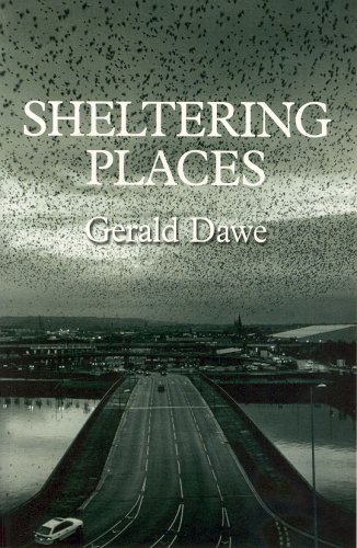 Imagen de archivo de Sheltering Places a la venta por HPB-Ruby