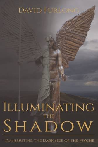 9780955979569: Illuminating the Shadow: Transmuting the Dark Side of the Psyche