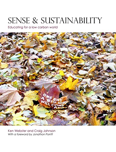 Imagen de archivo de Sense and Sustainability a la venta por AwesomeBooks