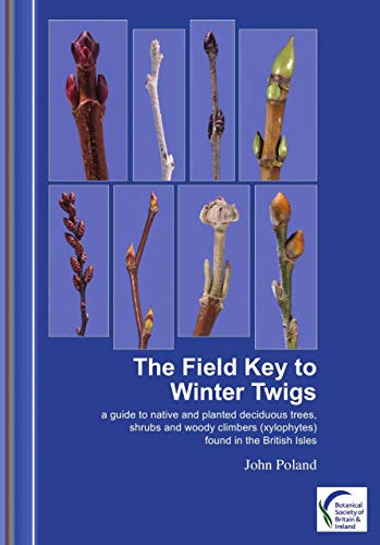 Stock image for The Field Key to Winter Twigs A Guide to Native and Planted Deciduous Trees, Shrubs and Woody Climbers (Xylophytes) Found in the British Isles for sale by Summerfield Books BA