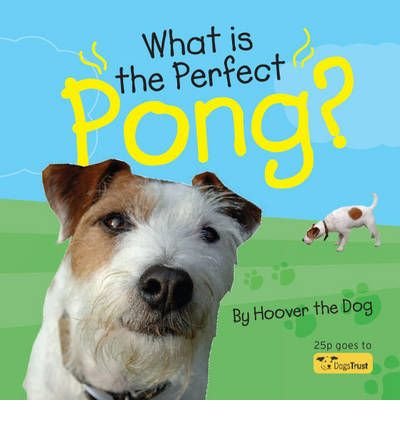 Beispielbild fr What is the Perfect Pong? zum Verkauf von AwesomeBooks