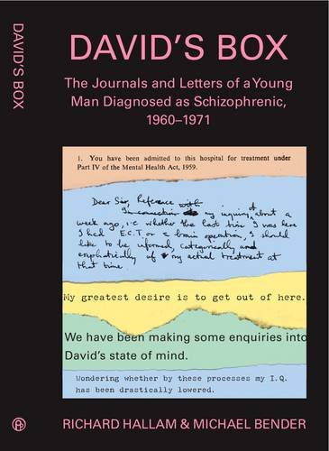 Imagen de archivo de David's Box: The Journals and Letters of a Young Man Diagnosed as Schizophrenic, 1960-1971 a la venta por AwesomeBooks