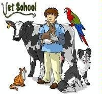 Stock image for Vet School for sale by WorldofBooks