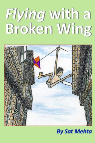 Beispielbild fr Flying with a Broken Wing zum Verkauf von WorldofBooks