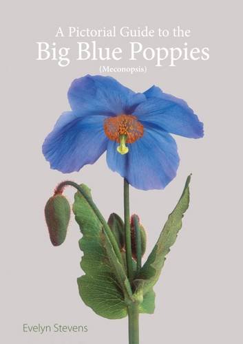 9780956216816: A Pictorial Guide to the Big Blue Poppies (Meconopsis)