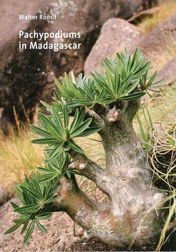 

Pachypodiums in Madagascar