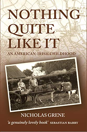 Stock image for Nothing Quite Like It: An American-irish Childhood for sale by WorldofBooks