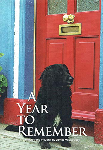 Stock image for A Year to Remember: Pictures and Thoughts by James McSweeney for sale by WorldofBooks