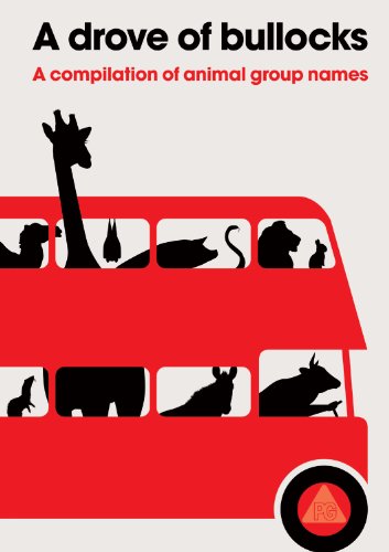 Beispielbild fr A Drove of Bullocks : A Compilation of Animal Group Names zum Verkauf von Better World Books