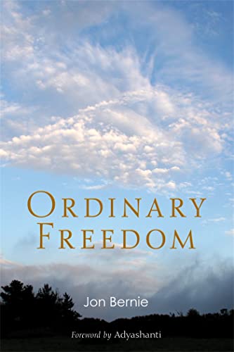 Imagen de archivo de Ordinary Freedom a la venta por ThriftBooks-Atlanta