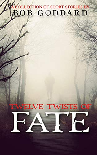 Stock image for Twelve Twists Of Fate: a collection of short stories for sale by THE SAINT BOOKSTORE