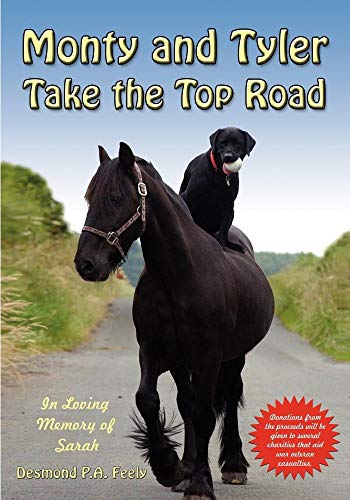 Imagen de archivo de Monty and Tyler Take the Top Road a la venta por Better World Books