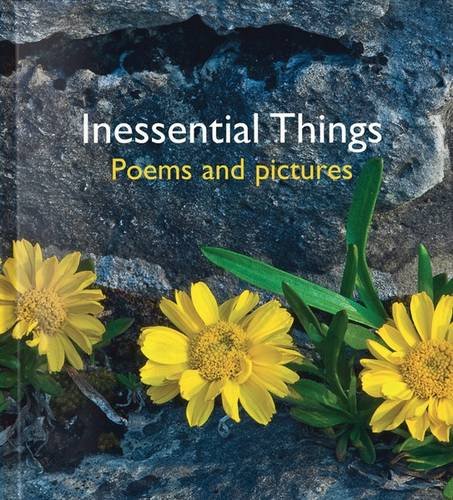 Imagen de archivo de Inessential Things: Poems and Pictures (Pictures to Share) a la venta por Kennys Bookstore