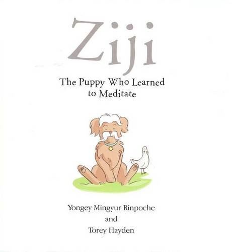 Stock image for Ziji: The Puppy Who Learned to Meditate for sale by Books of the Smoky Mountains