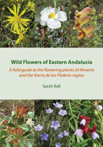 9780956396112: Wild Flowers of Eastern Andaluca: A Field Guide to the Flowering Plants of Almera and the Sierra De Los Filabres Region