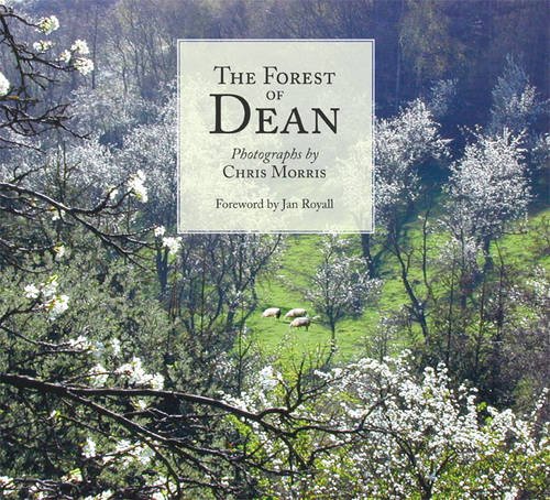 Beispielbild fr Forest of Dean: Photographs by Chris Morris zum Verkauf von WorldofBooks