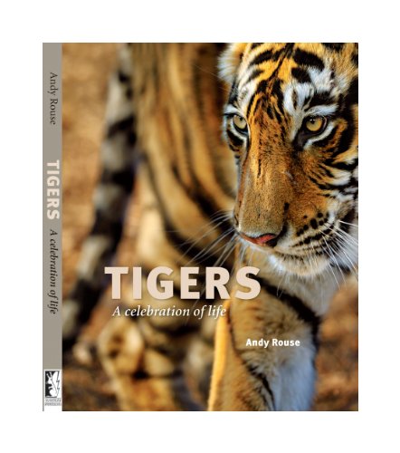 Stock image for Tigers: A Celebration of Life for sale by WorldofBooks
