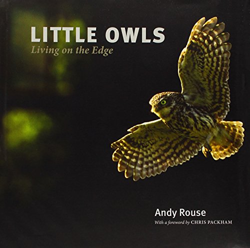 Beispielbild fr Little Owls: Living on the Edge: 2 zum Verkauf von WorldofBooks
