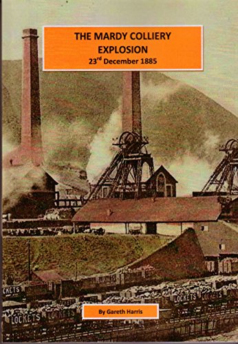 Imagen de archivo de The Mardy Colliery Explosion a la venta por Goldstone Books