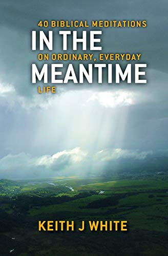 Stock image for In the Meantime: 40 Biblical Meditations on Ordinary, Everyday Life for sale by WorldofBooks