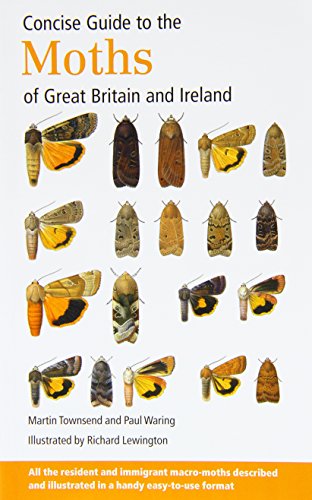 Beispielbild fr Concise Guide to the Moths of Great Britain and Ireland zum Verkauf von WorldofBooks