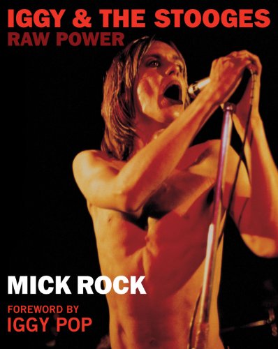 Beispielbild fr Iggy & The Stooges: Raw Power zum Verkauf von WorldofBooks