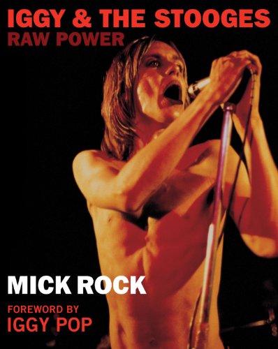 Stock image for Iggy & The Stooges: Raw Power for sale by WorldofBooks