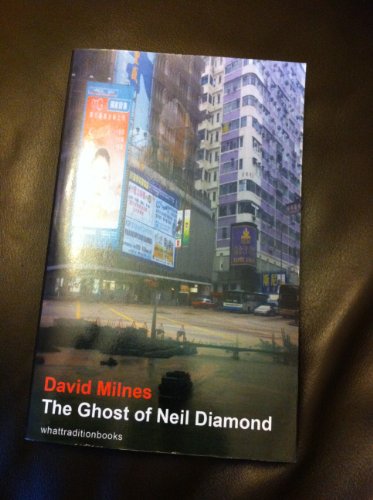 Stock image for The Ghost of Neil Diamond for sale by GF Books, Inc.