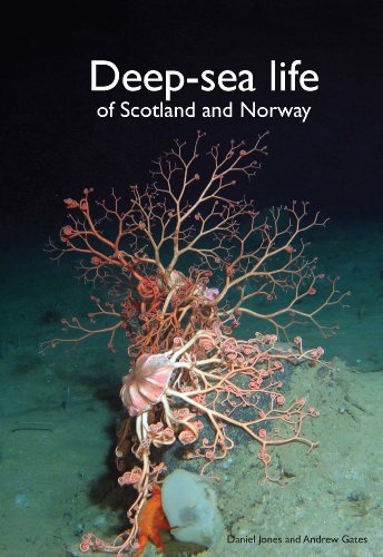 Imagen de archivo de Deep-Sea Life of Scotland and Norway a la venta por WorldofBooks