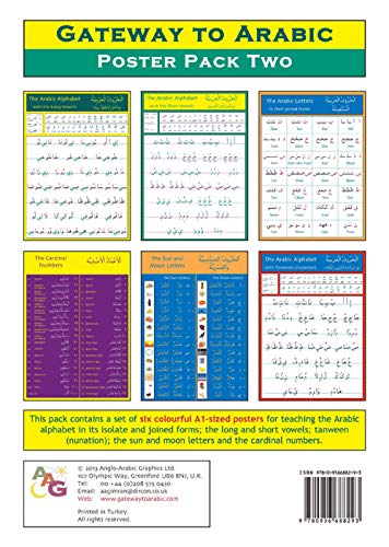 9780956688293: Gateway to Arabic Poster Pack Two