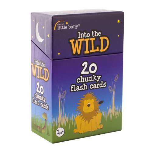 9780956699909: Flash Cards: Set 1: Into the Wild (Flash Cards: Into the Wild)