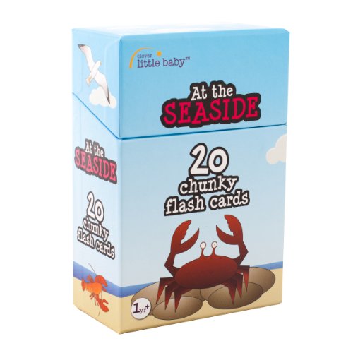 9780956699947: At the Seaside (Clever Little Baby, Flash Cards): 1
