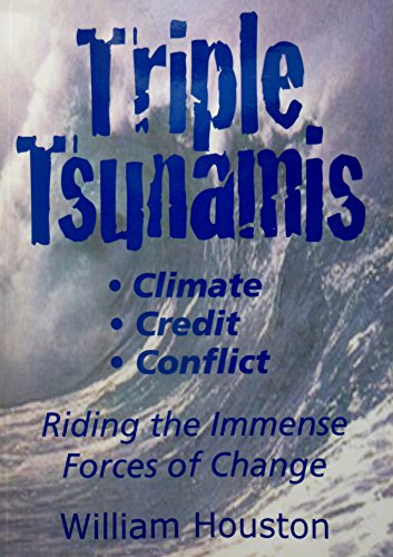 Beispielbild fr Triple Tsunami zum Verkauf von Ammareal
