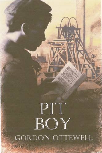 Beispielbild fr Pit Boy zum Verkauf von WorldofBooks