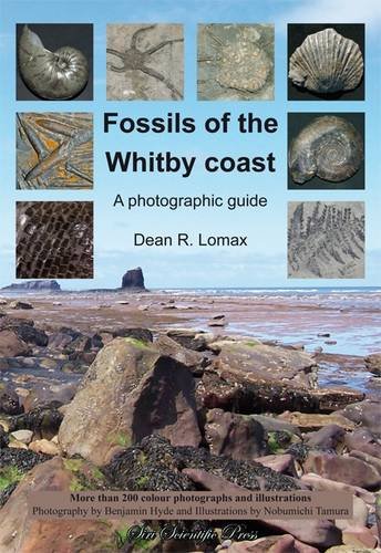 Beispielbild fr Fossils of the Whitby Coast: A Photographic Guide zum Verkauf von WorldofBooks