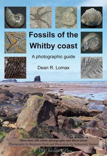 Stock image for Fossils of the Whitby Coast: A Photographic Guide for sale by Revaluation Books