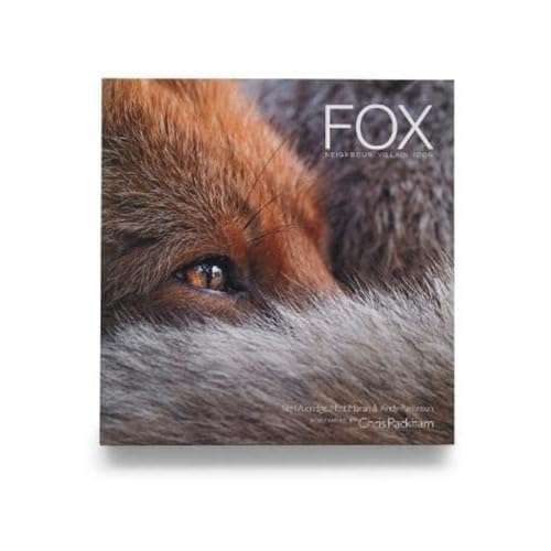 Stock image for Fox Fox for sale by GreatBookPrices