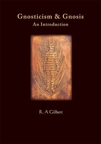 9780956878984: Gnosticism & Gnosis: An Introduction