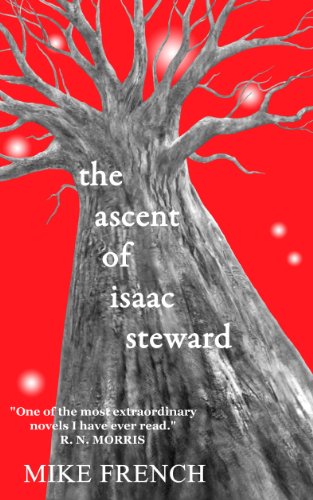 9780956881014: The Ascent of Isaac Steward