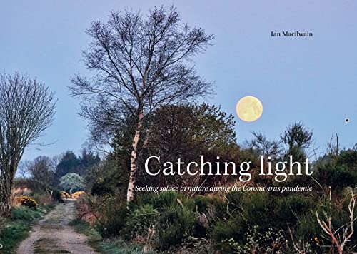 Stock image for Catching Light for sale by WorldofBooks
