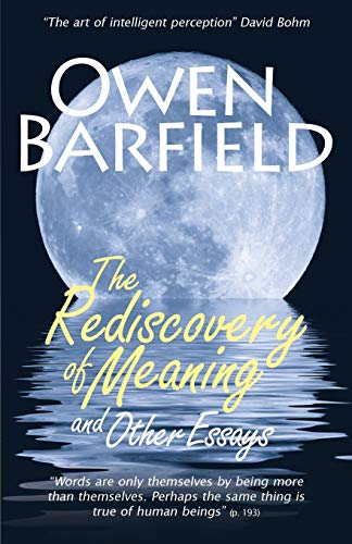 9780956942333: The Rediscovery of Meaning, and Other Essays