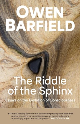 Imagen de archivo de The Riddle of the Sphinx: Essays on the Evolution of Consciousness a la venta por GreatBookPrices