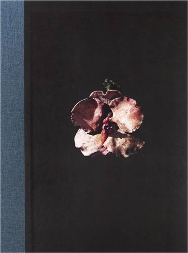 Beispielbild fr Mat Collishaw zum Verkauf von Midway Book Store (ABAA)