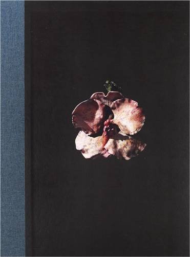 Stock image for Mat Collishaw for sale by Midway Book Store (ABAA)