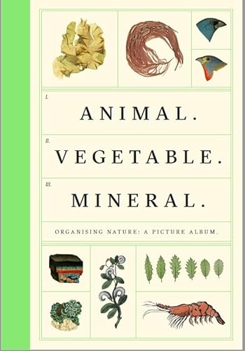 9780957028593: Animal Vegetable Mineral: Organising Nature, A Picture Album