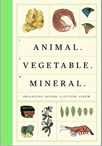 Imagen de archivo de Animal Vegetable Mineral: Organising Nature, A Picture Album a la venta por WorldofBooks
