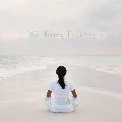 Stock image for Wellbeing Escapes for sale by AwesomeBooks