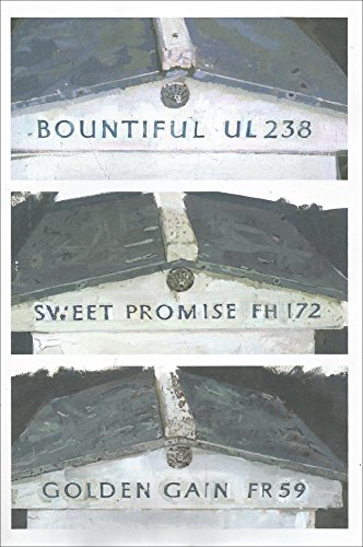 Stock image for BOUNTIFUL UL 238; SWEET PROMISE FH 172; GOLDEN GAIN FR 59: Paintings and drawings by Eileen Hogan Inspired Ian Hamilton Finlay's Garden, Little Sparta, Stonypath, Scotland for sale by ThriftBooks-Atlanta