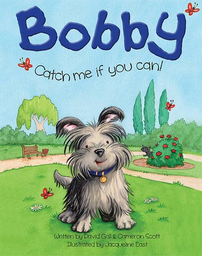 Beispielbild fr Bobby - Catch Me If You Can zum Verkauf von AwesomeBooks